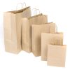 12x17x16 Twisted Handle Carrier Bags