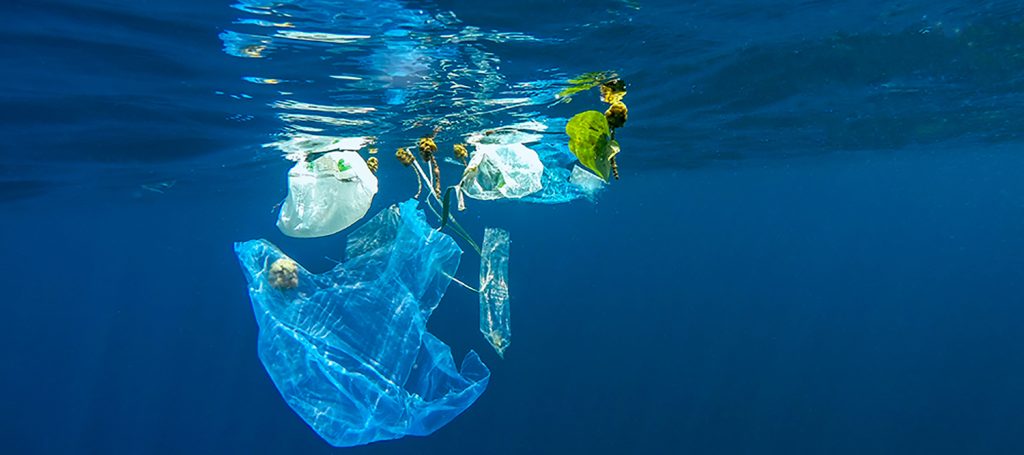 Green Alliance simple actions to tackle marine litter