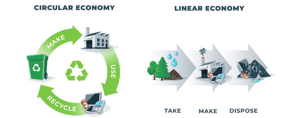 How is a circular economy different from a linear economy?